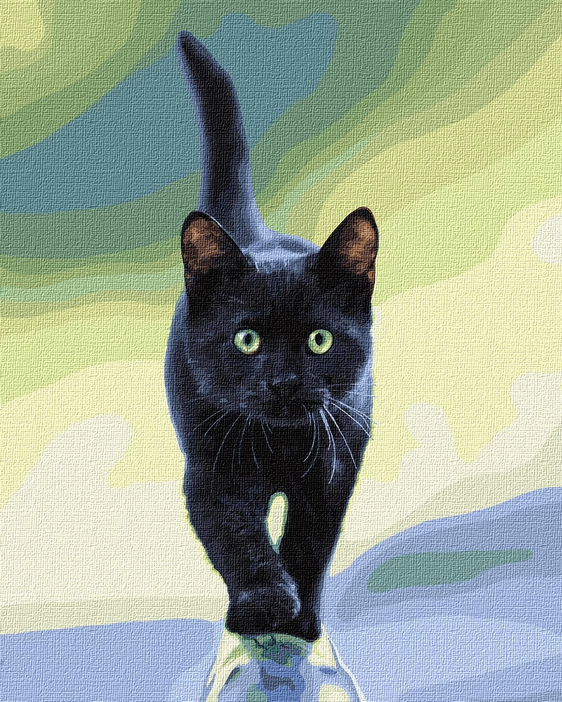 Tablou pe numere "Gratia felinelor" 40x50 cm KHO4206
