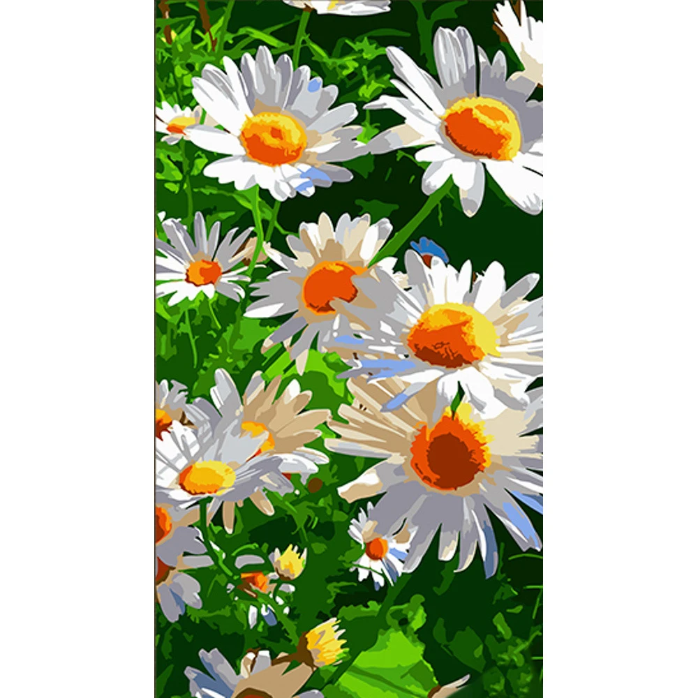 Tablou pe numere 50x25 cm "Margarete albe"