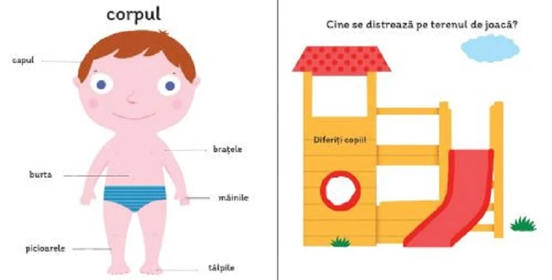 Descopera. Corpul