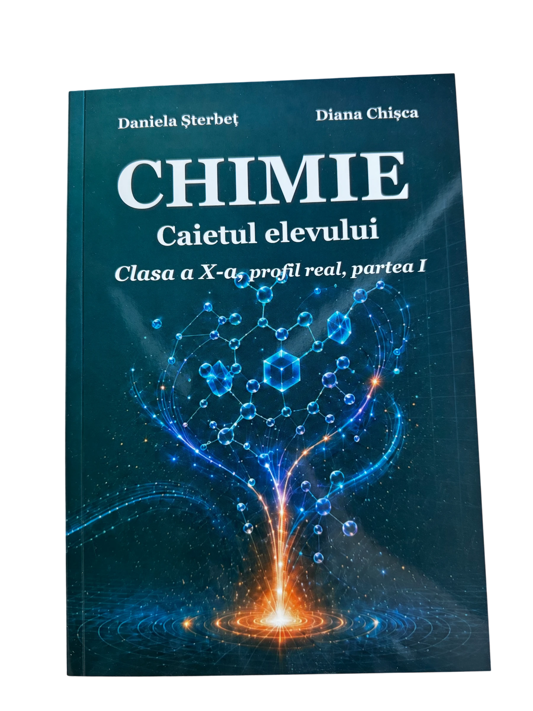 Caietul elevului la Chimie clasa X partea 1 profil real
