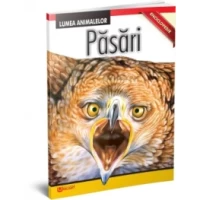 Păsări - Lumea animalelor
