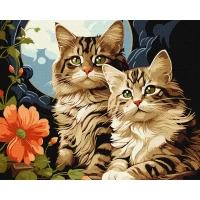 Tablou pe numere "Pisici fermecatoare" 40x50 cm KHO6574