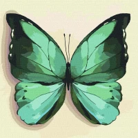 Tablou pe numere "Fluture verde" 25*25 cm KHO4208