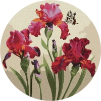 Tablou pe numere "Irise rafinate" d33 cm KHO-R1032