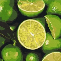 Tablou pe numere  "Juicy lime" 25x25 cm KHO5647