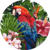 Tablou pe numere "Papagal" d39 cm KHO-R1004