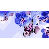 Tablou pe numere 50x25 cm "Fluturi pe orhidee"
