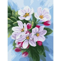 Tablouri pe numere Ideyka "Inflorirea merilor" 30x40cm