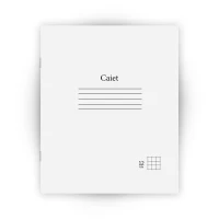 Caiet 12 foi patratele (Dorinta)
