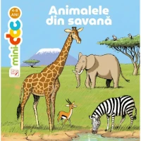 Mini-doc Animalele din savana